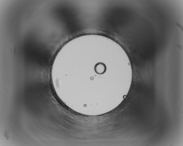 X0000103950015200809191222