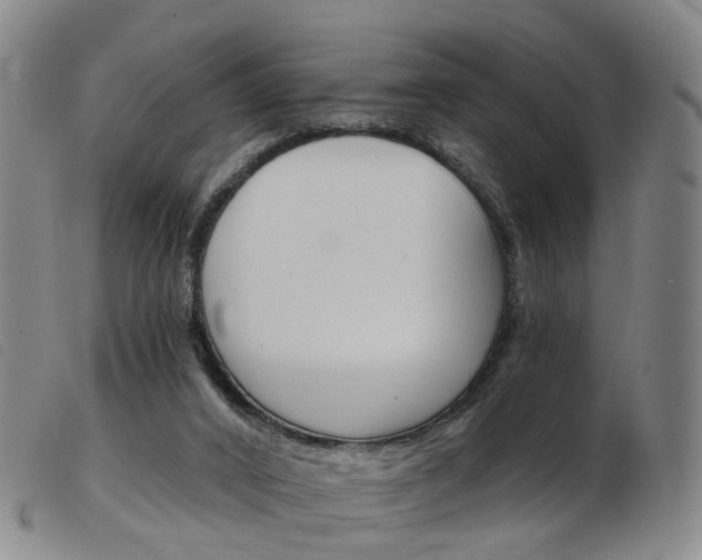 X0000103950016200809191222
