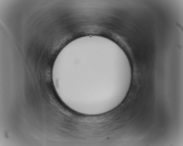 X0000103950017200809191222