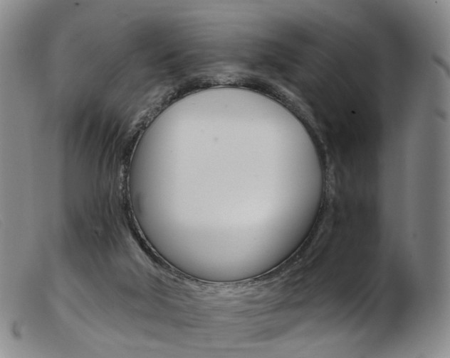 X0000103950018200809191222