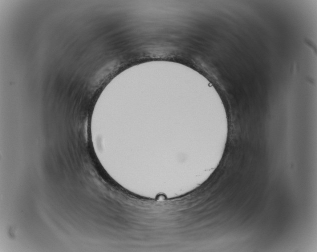 X0000103950019200809191222