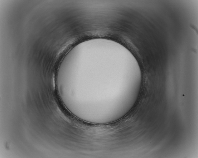 X0000103950020200809191222
