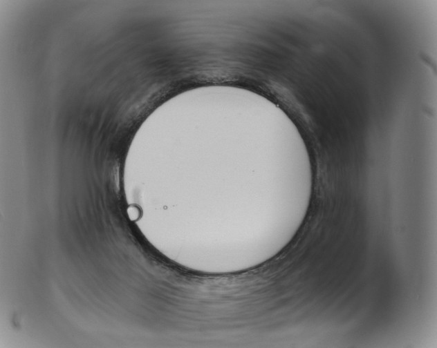 X0000103950021200809191222