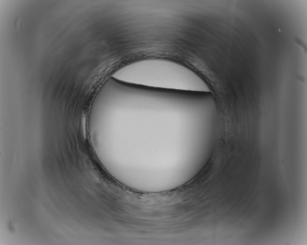 X0000103950022200809191222