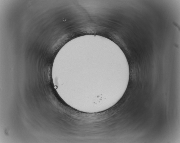 X0000103950023200809191222