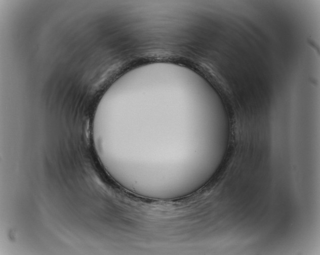 X0000103950024200809191222