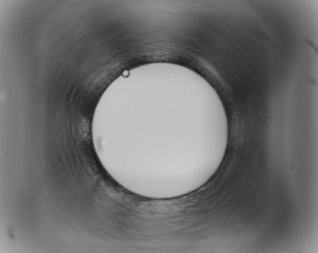 X0000103950025200809191222