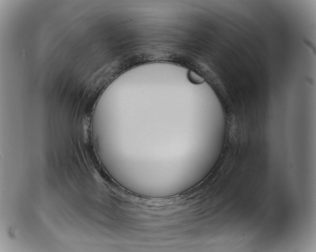 X0000103950026200809191222