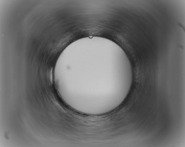 X0000103950028200809191221