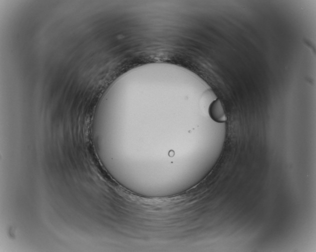 X0000103950030200809191221