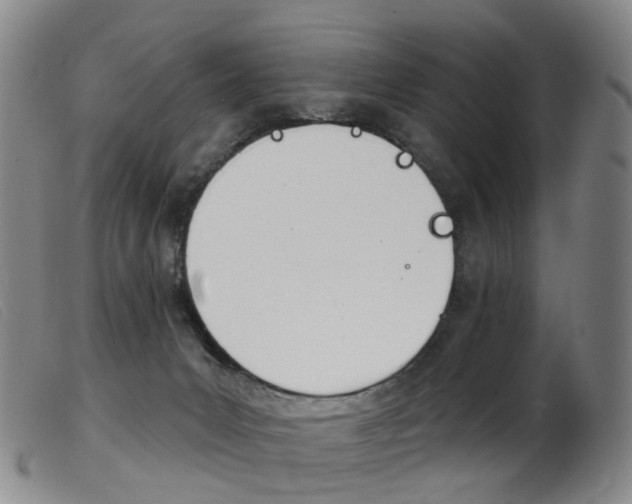 X0000103950031200809191221