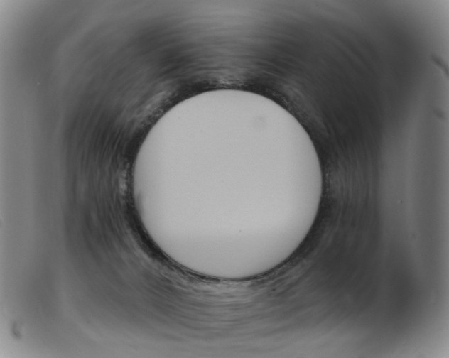 X0000103950032200809191221