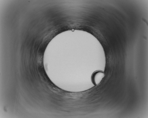 X0000103950033200809191221
