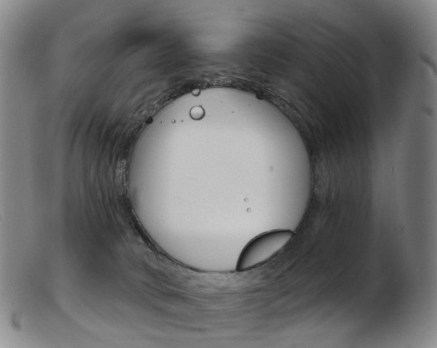 X0000103950034200809191221