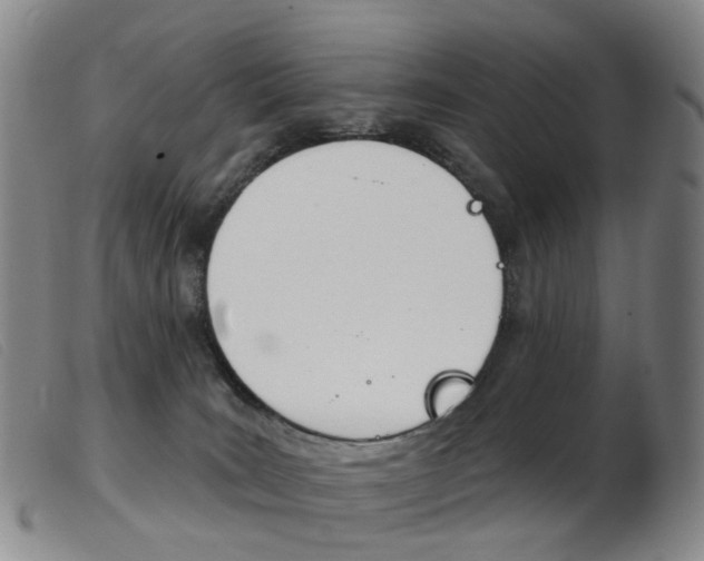 X0000103950035200809191221