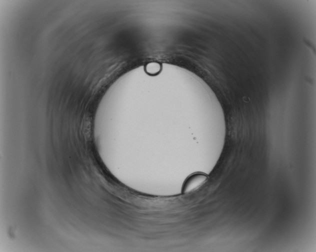 X0000103950036200809191221