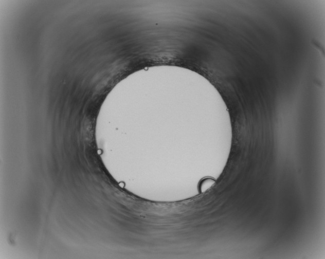 X0000103950037200809191221