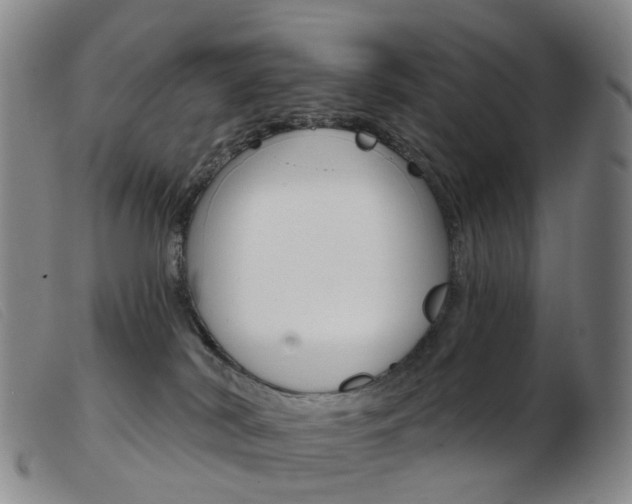 X0000103950038200809191221