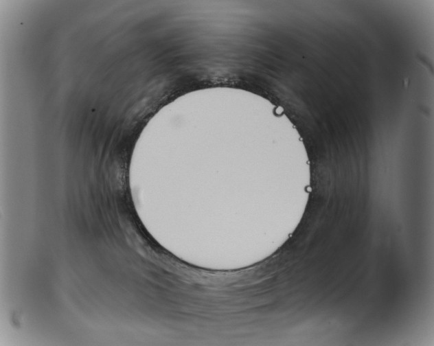 X0000103950039200809191221