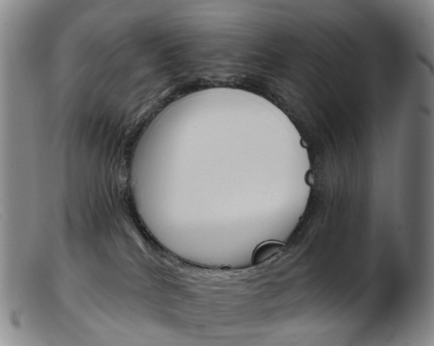 X0000103950040200809191221
