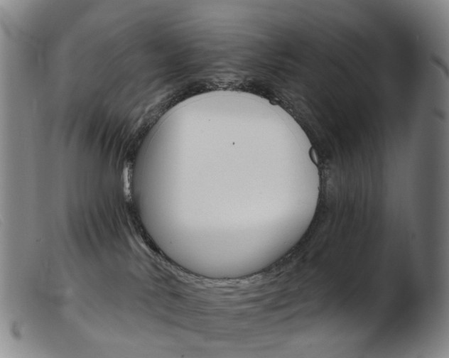 X0000103950042200809191221