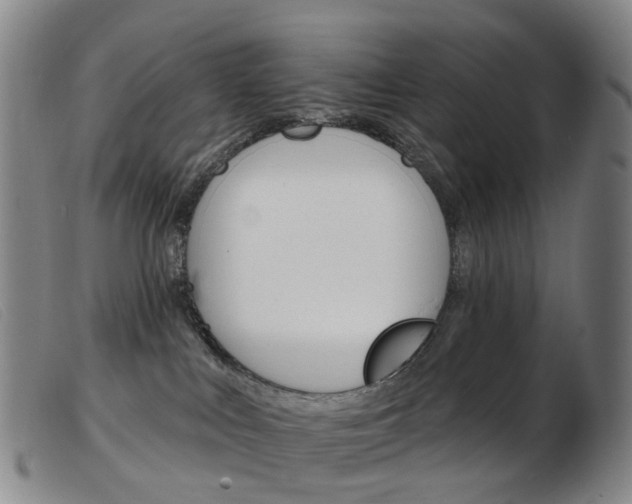 X0000103950043200809191221