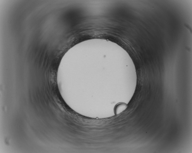 X0000103950044200809191221