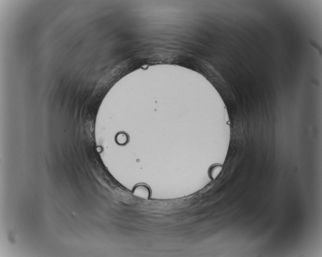 X0000103950045200809191221