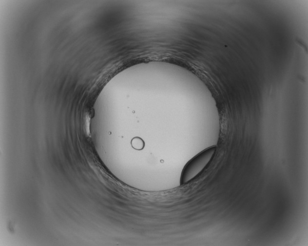 X0000103950046200809191221