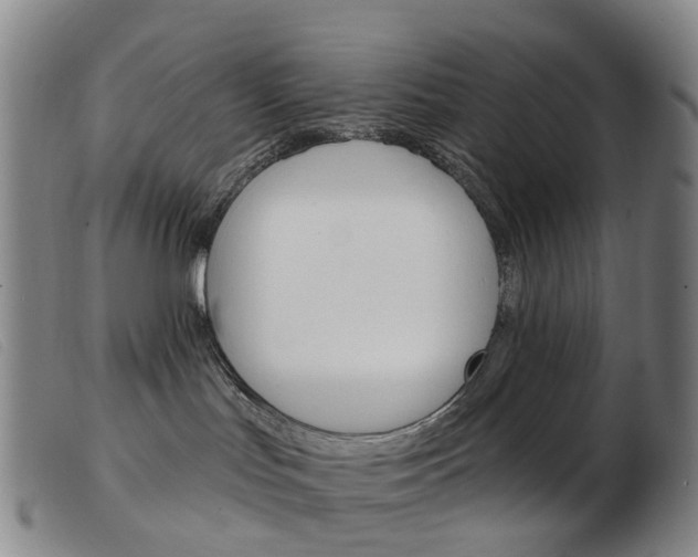 X0000103950047200809191221