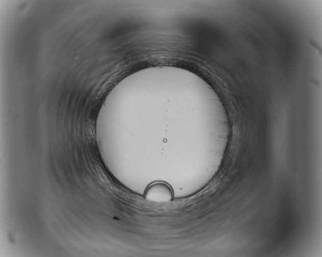 X0000103950048200809191221