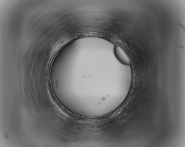 X0000103950049200809191220