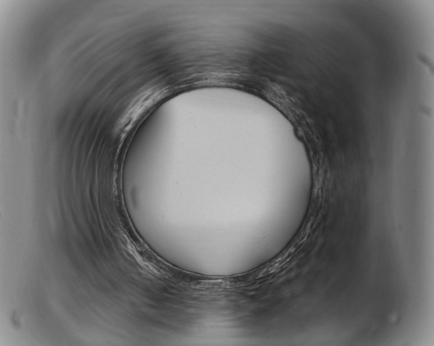 X0000103950050200809191220
