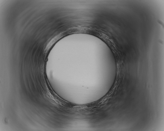 X0000103950051200809191220