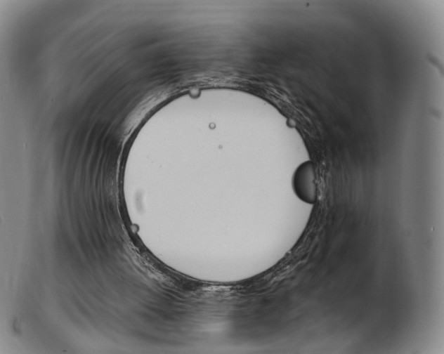 X0000103950052200809191220