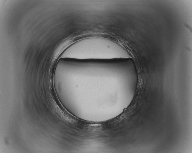 X0000103950053200809191220