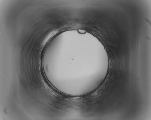 X0000103950054200809191220