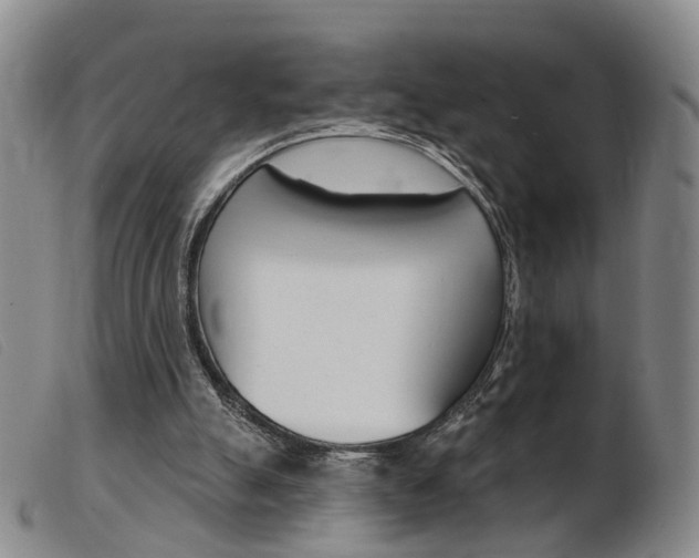X0000103950055200809191220