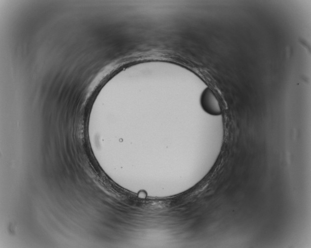 X0000103950056200809191221