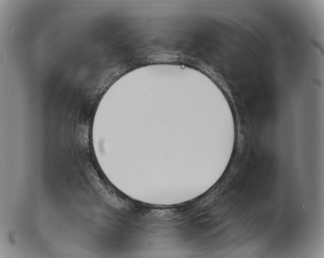 X0000103950057200809191221