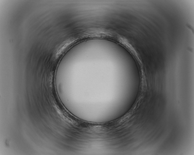 X0000103950058200809191221