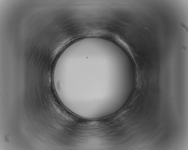 X0000103950059200809191221