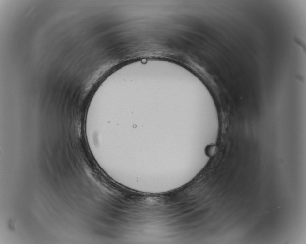 X0000103950060200809191221