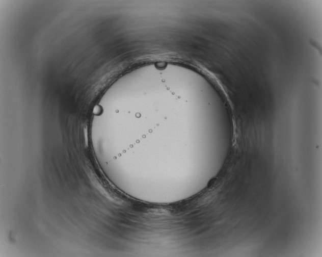 X0000103950061200809191221