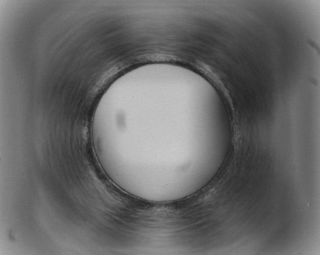 X0000103950063200809191221