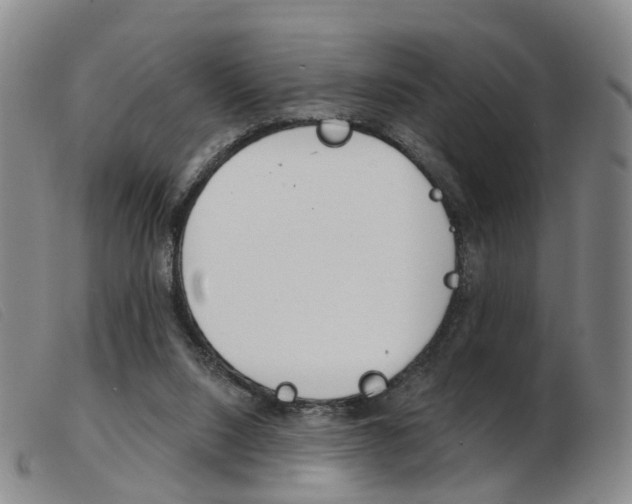 X0000103950064200809191221