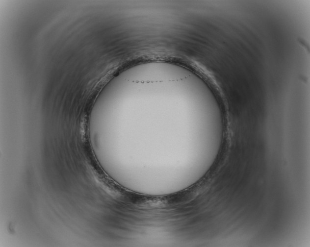 X0000103950065200809191221