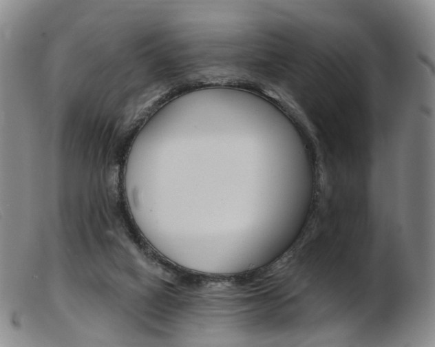 X0000103950066200809191221