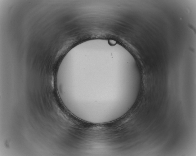 X0000103950067200809191221