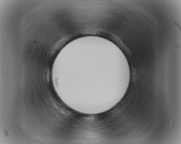 X0000103950068200809191221